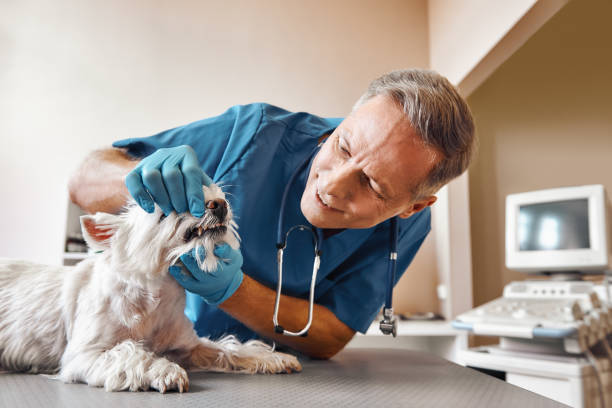 Best Same-Day Emergency Appointments in Livingston, TN